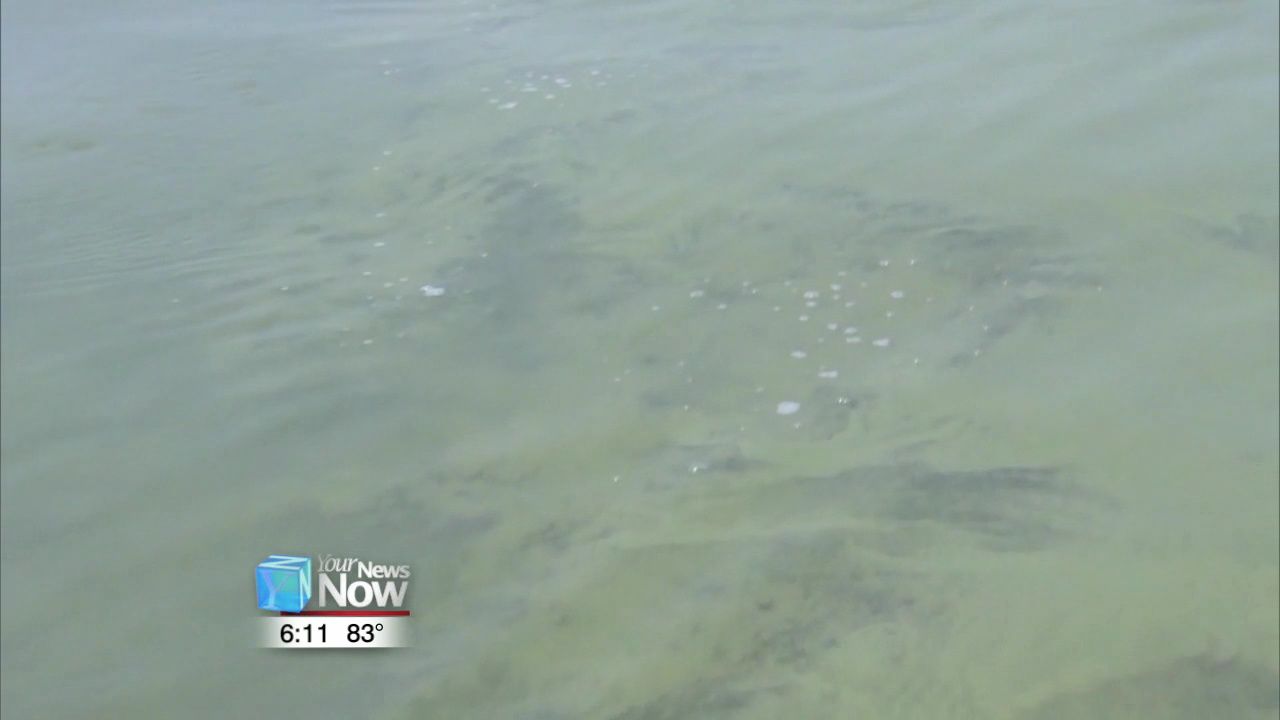 Researchers warn of large harmful algae bloom for Lake Erie 1.jpg